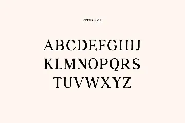 Catlyna Modern Serif Font