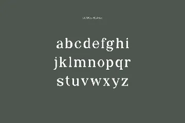 Catlyna Modern Serif Font