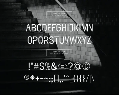 ROXESTON font