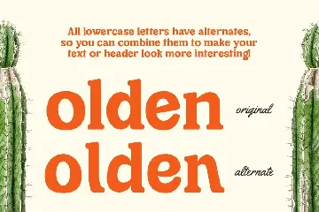 Cheria - Modern Retro Serif font