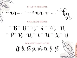 Negista Script font