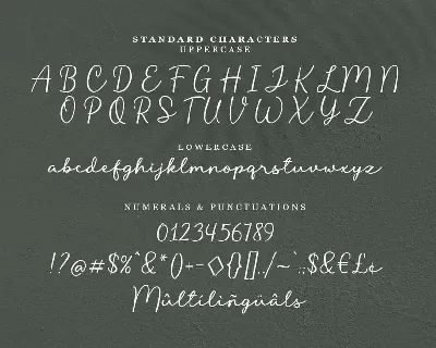 Liontin font