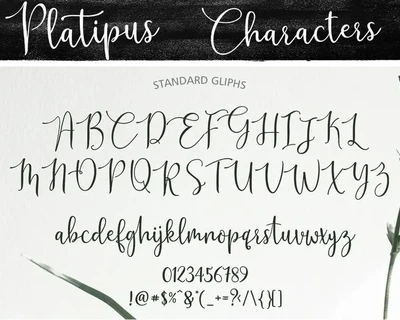 Platipus Script font
