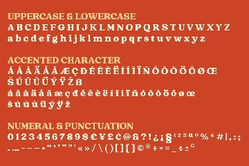Raspberie - Retro Modern font