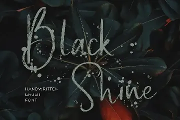 Black Shine Handwritten Script Brush Font