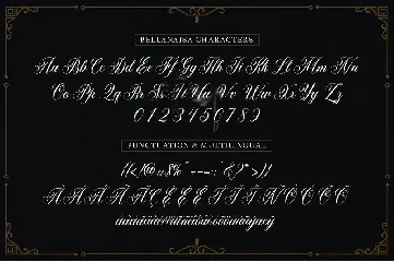 Bellanaisa -  Calligraphy Font + Ornament