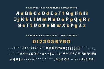 Ridasbin | Serif Classic Modernism font