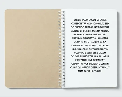 Meer Brush Font