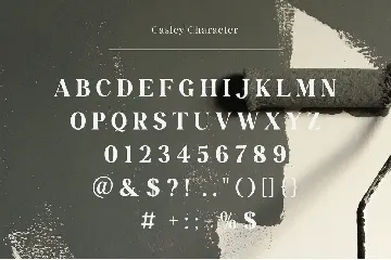 Casley - Modern Serif Font