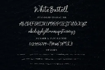 White Buttell Brush Font
