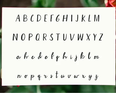 Natalee Brush Font