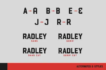 Radley - Urban Display font