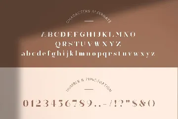 Hedonia Serif Font