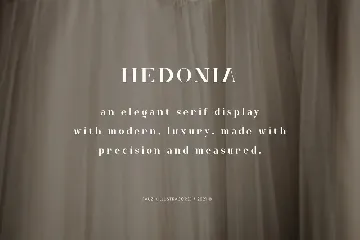 Hedonia Serif Font