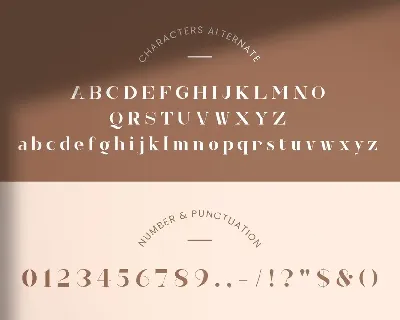 Hedonia Serif Font