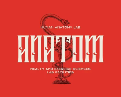 Liberok - Blackletter Display Font