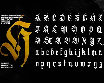 Tusklife font