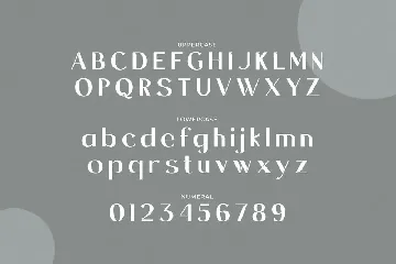 Leoklyin - Sans Serif Display Typeface font