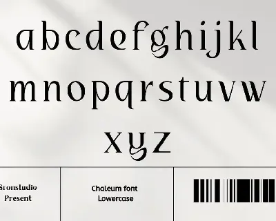 Chaleum font