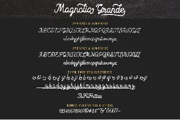 Magnolia Grande - Monoline Script Font