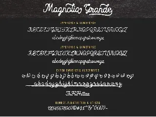 Magnolia Grande - Monoline Script Font