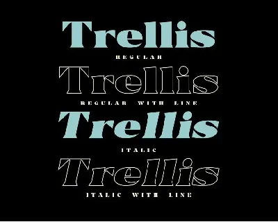 Trellis Bold Serif font