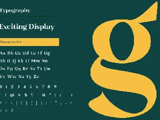 Exciting Display Font