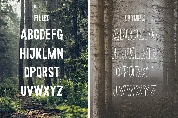 Wonderful Wilderness Font Duo