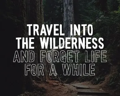 Wonderful Wilderness Font Duo