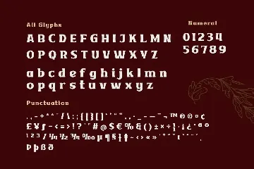 VAKOZI | Serif Classic Modernism font