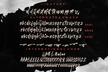 Barttony Handbrush Business Font