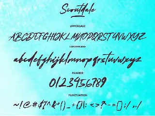 Scoutdale | Handwritten Brush Font