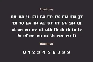 Birhuk Lord | Display Hero Font