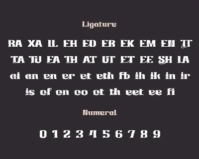 Birhuk Lord | Display Hero Font