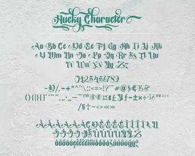Hucky â€“ Decorative Script Font