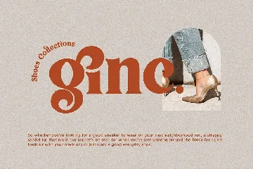 Vigallse - Vintage Modern Serif Typeface font