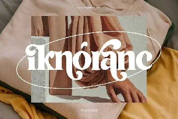 Vigallse - Vintage Modern Serif Typeface font