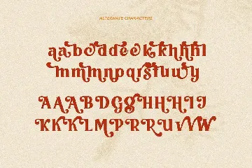 Vigallse - Vintage Modern Serif Typeface font