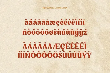 Vigallse - Vintage Modern Serif Typeface font